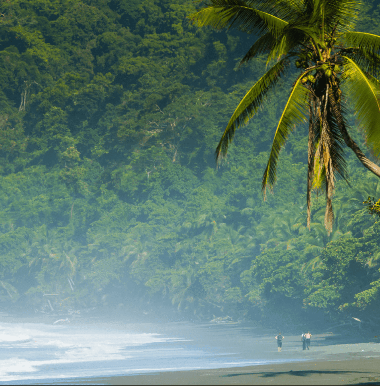 Ecolodge retreat for sale