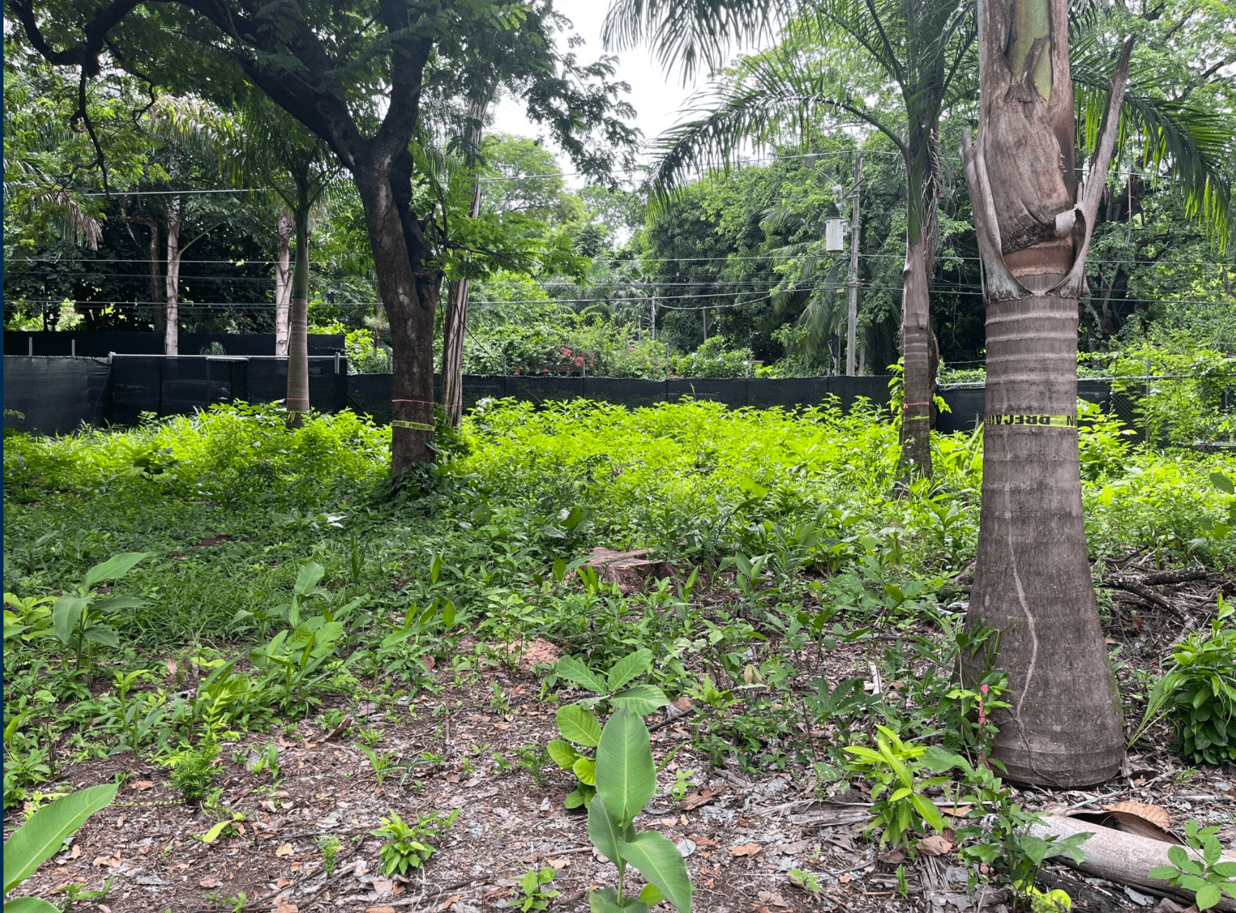 Home in Playa Guiones