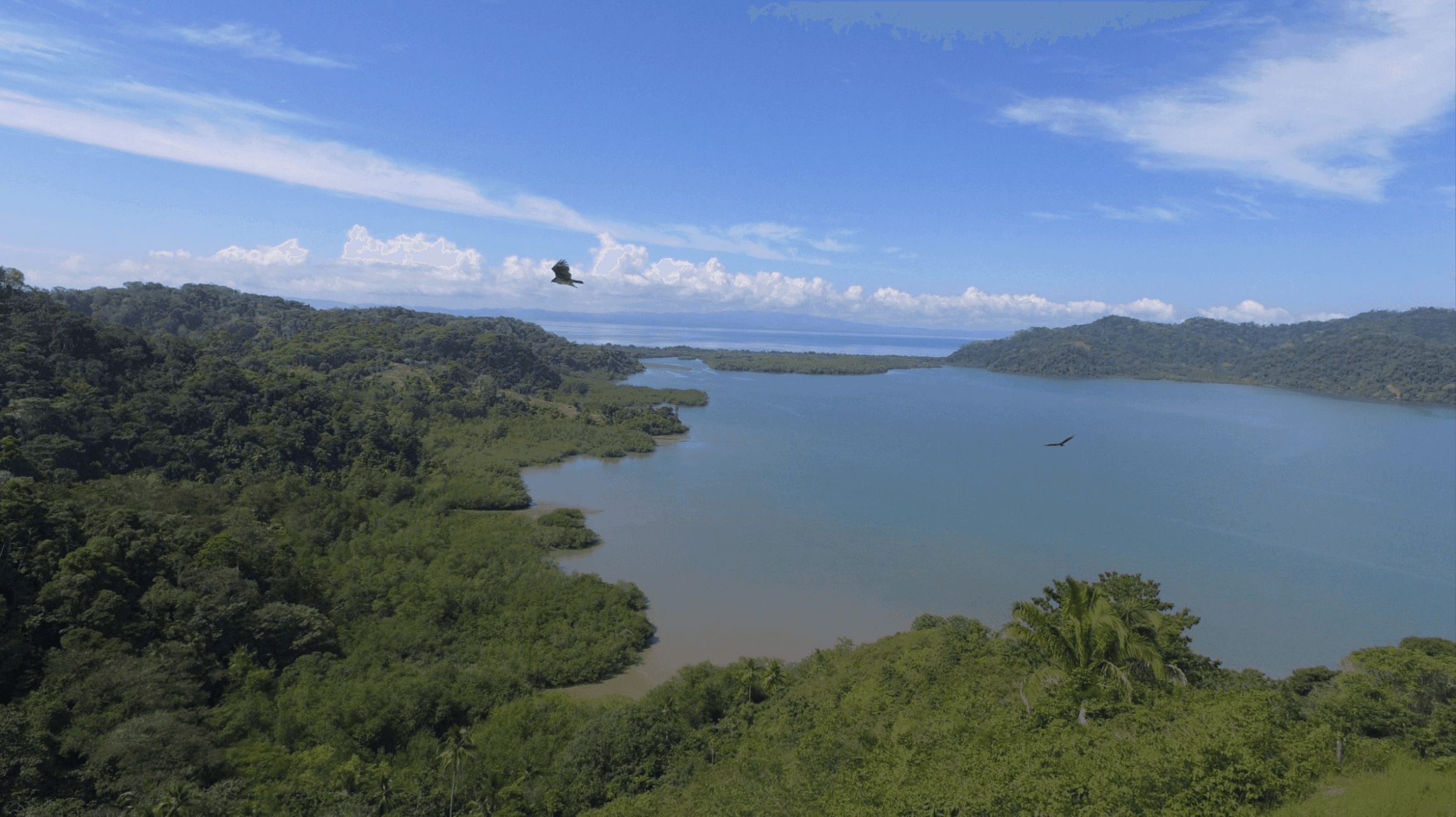 Land in Golfito for sale