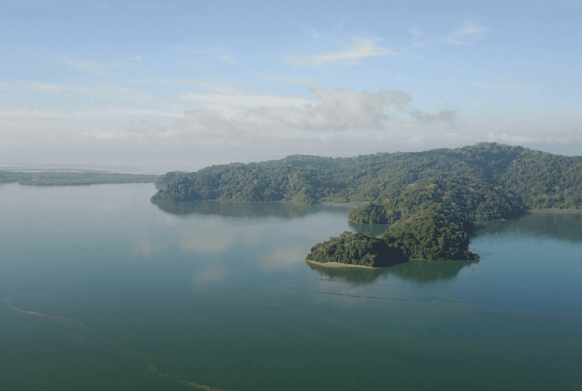 Land in Golfito for sale