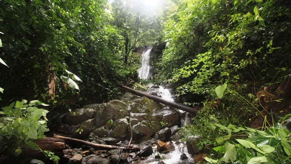 Ocean View property in Ojochal