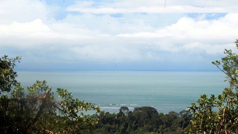 Ocean View property in Ojochal