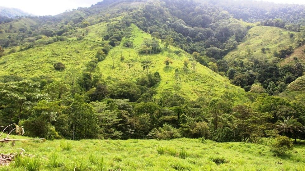 Ocean View property in Ojochal