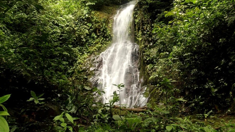 Ocean View property in Ojochal