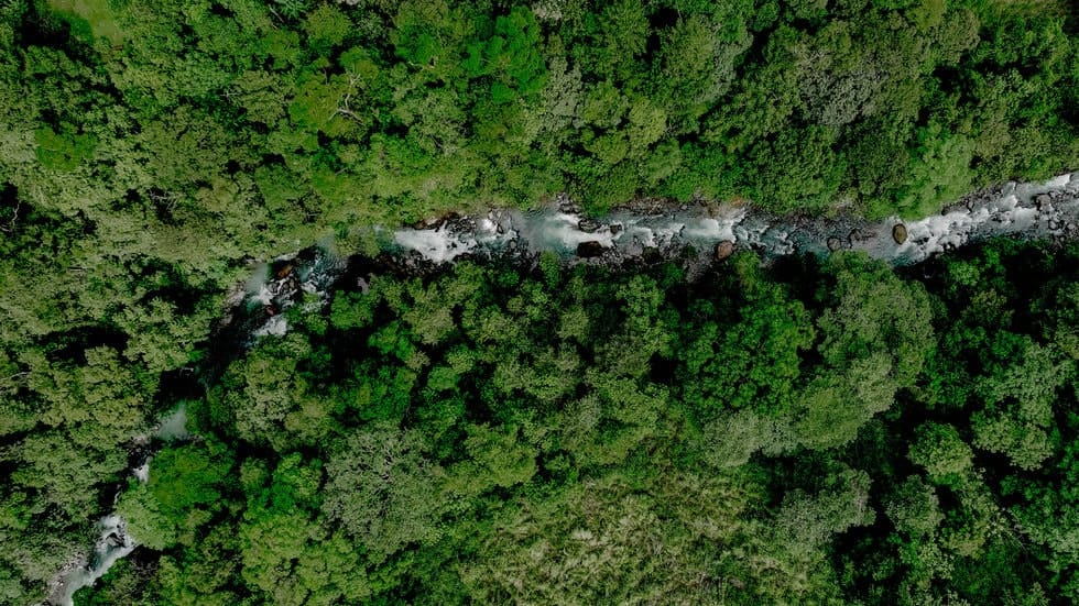 Ocean View property in Ojochal