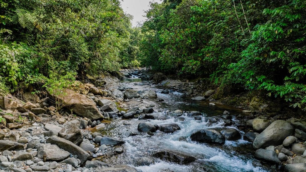 Ocean View property in Ojochal