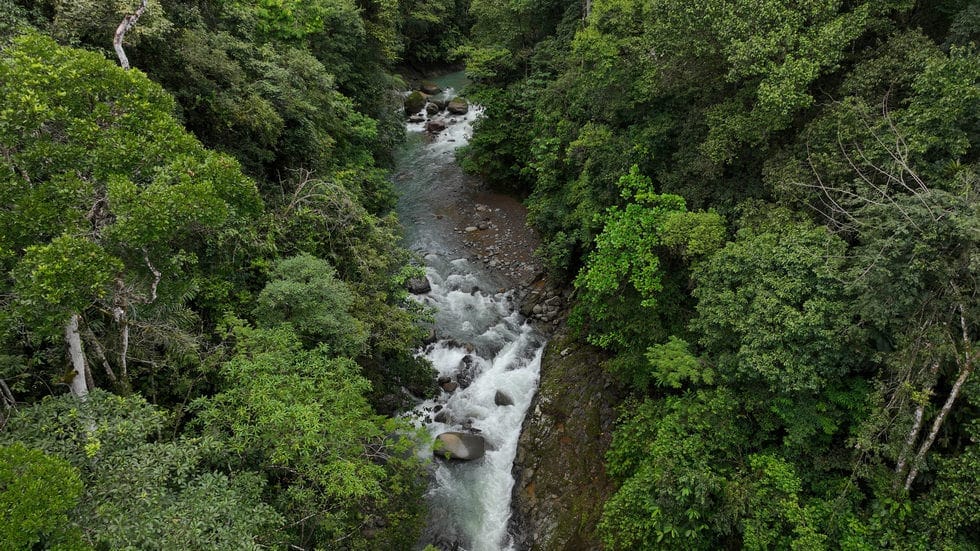 Ocean View property in Ojochal