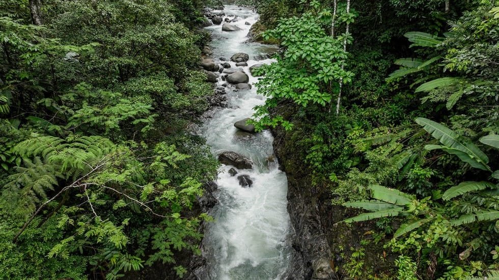 Ocean View property in Ojochal