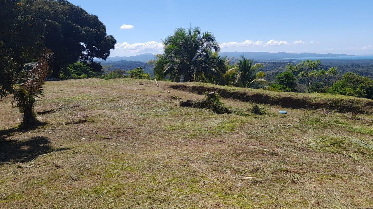 Development Opportunity in Golfito