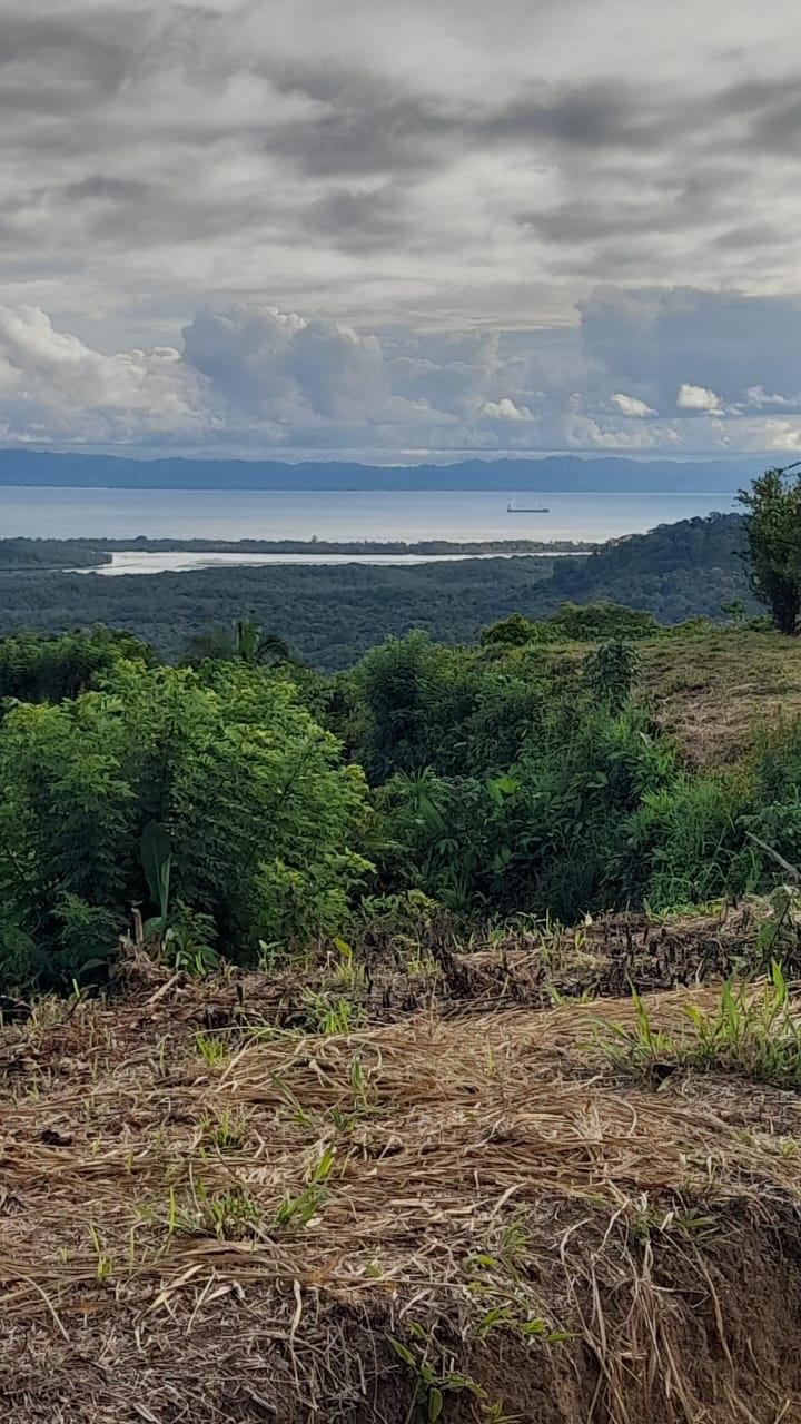 Development Opportunity in Golfito