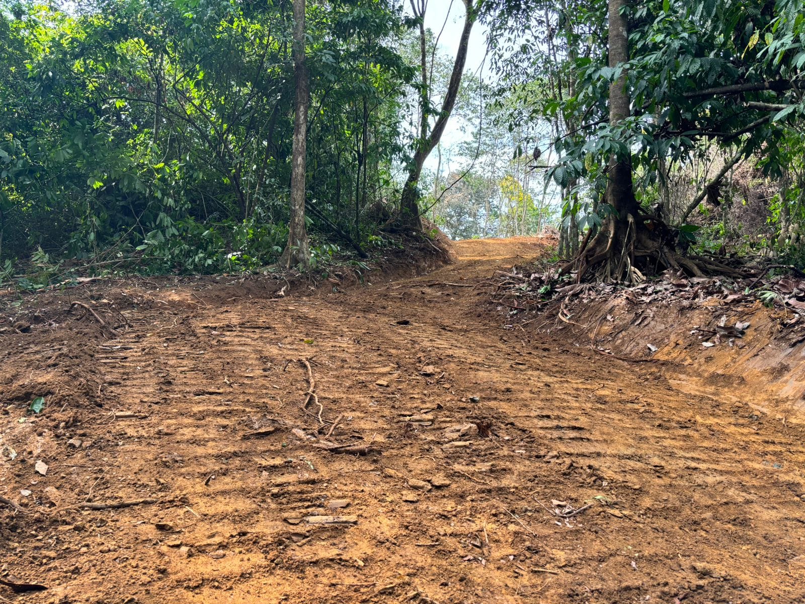 Development Opportunity in Costa Rica