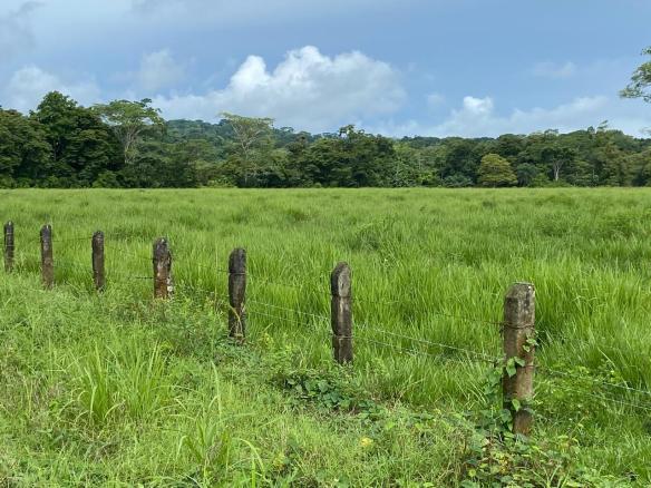 Land for sale in Puerto Jimenez