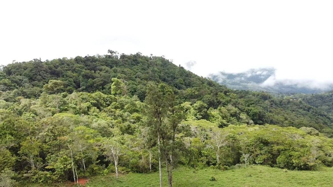 Land in Perez Zeledon