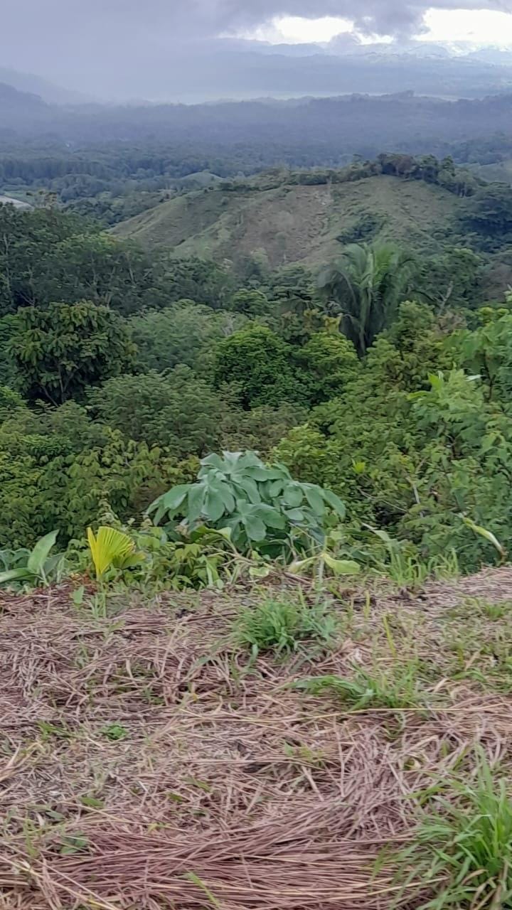 Development Opportunity in Golfito