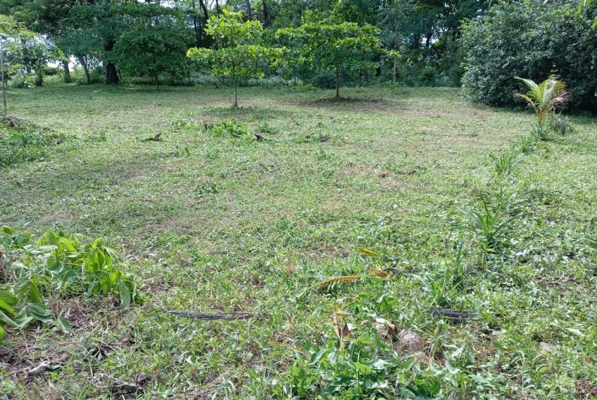 Beachfront Development Opportunity in Pavones