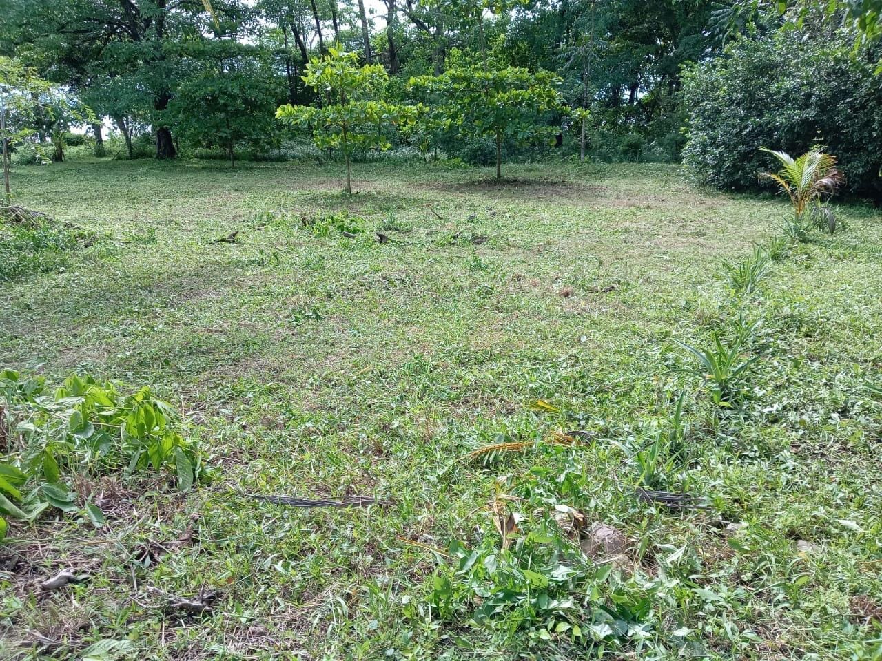 Beachfront Development Opportunity in Pavones