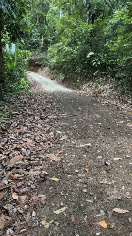 Development Opportunity in Costa Rica