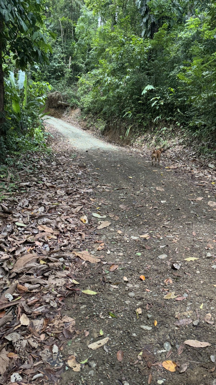 Development Opportunity in Costa Rica