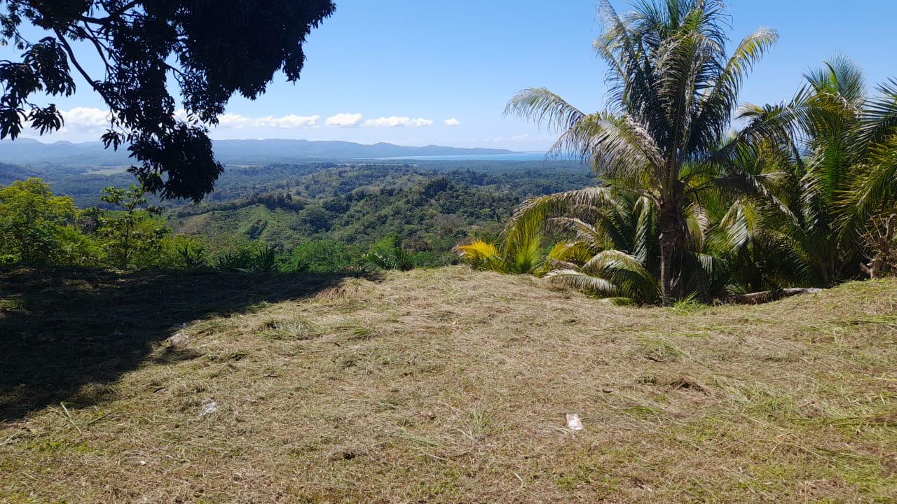 Development Opportunity in Golfito