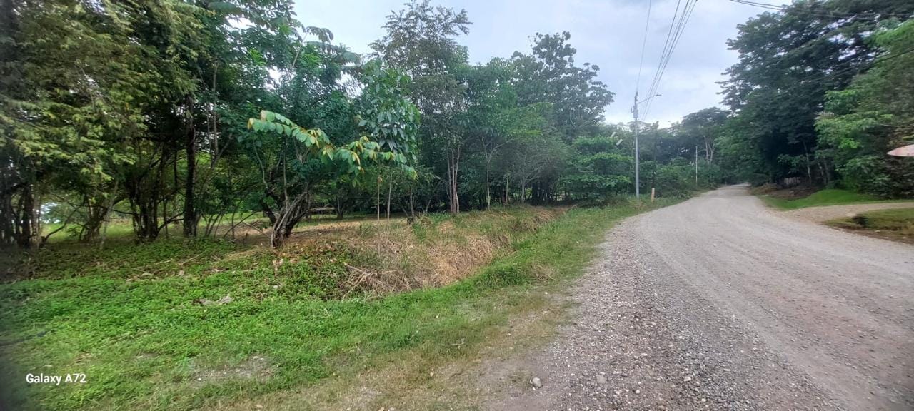 Beachfront Development Opportunity in Pavones