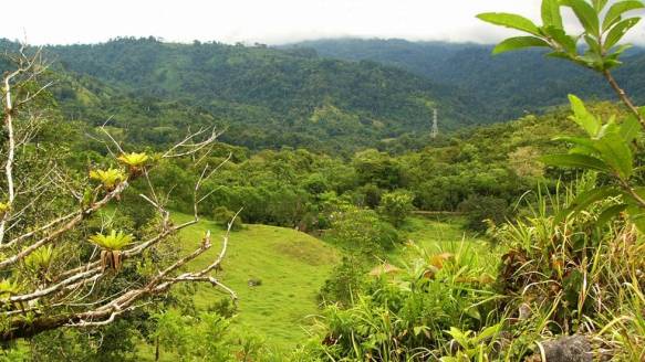 Development opportunity in Golfito