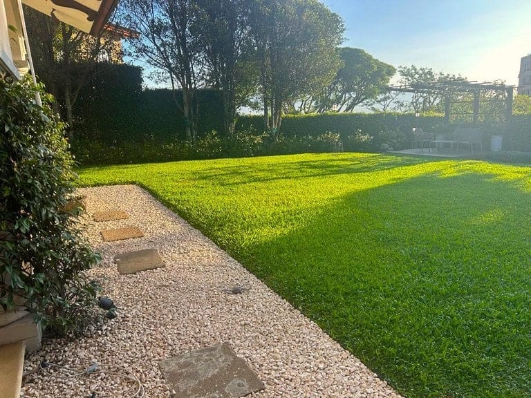 rs2400609_img-18_large-min