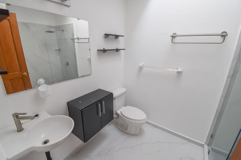 rs2400741_img-21_large-min