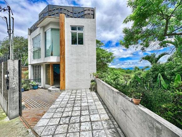 Unique Contemporary Mountainside Home