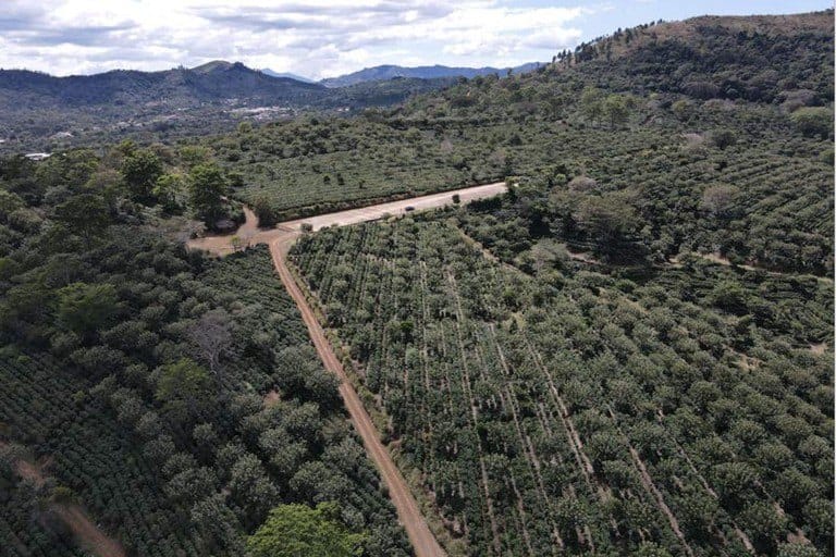 Land in Naranjo, Alajuela