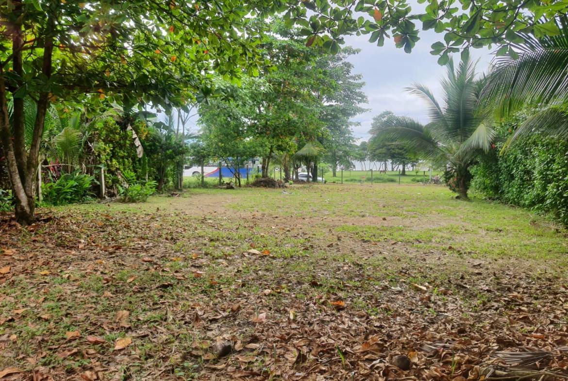 Development opportunity in Pavones