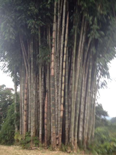 Commercial property in San Vito