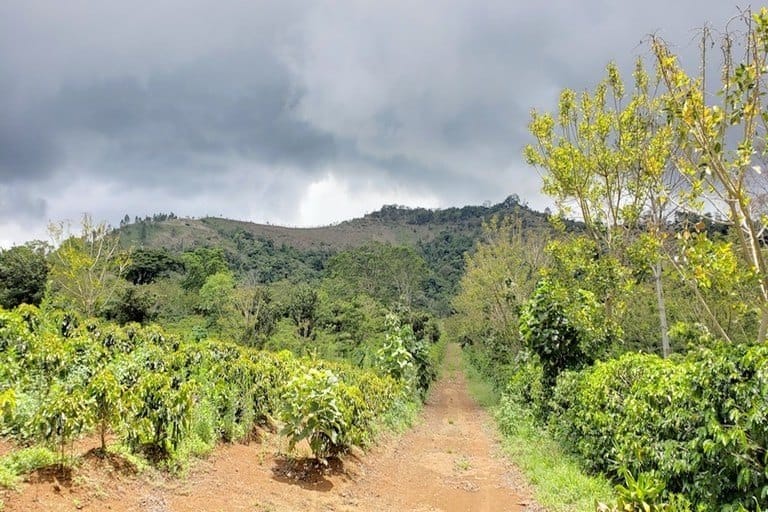 Land in Naranjo, Alajuela