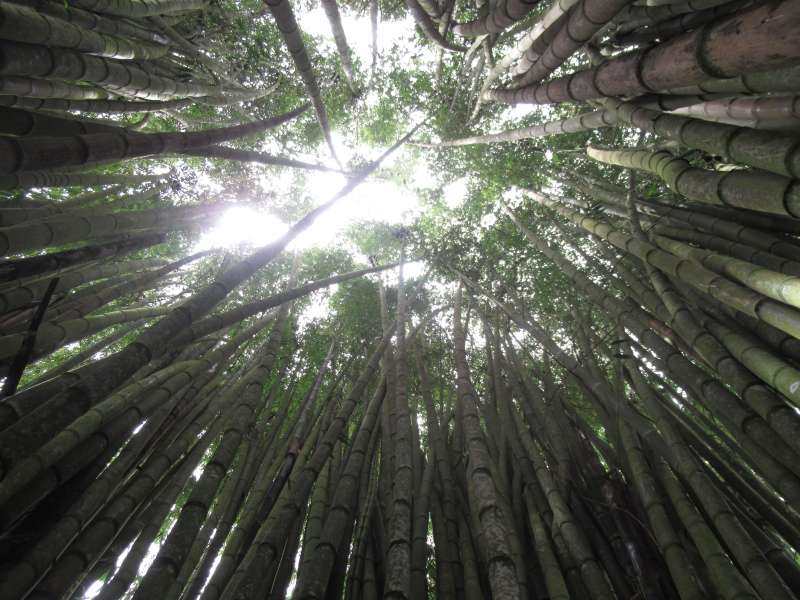 Commercial property in San Vito