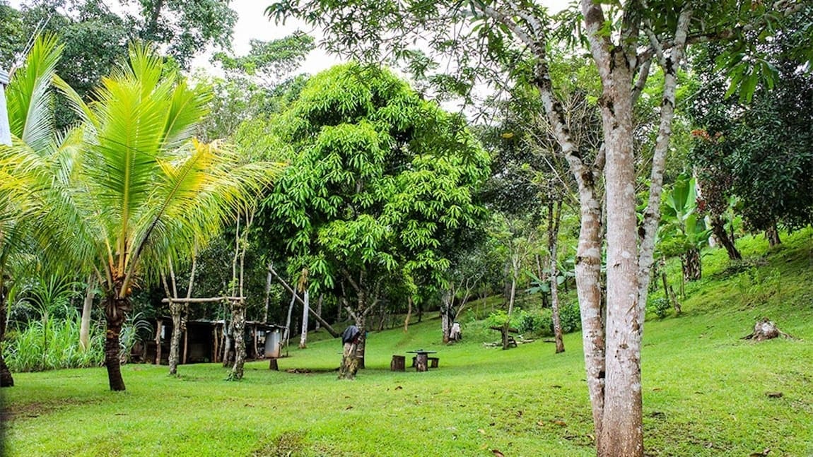 Property in San Isidro, Perez Zeledon