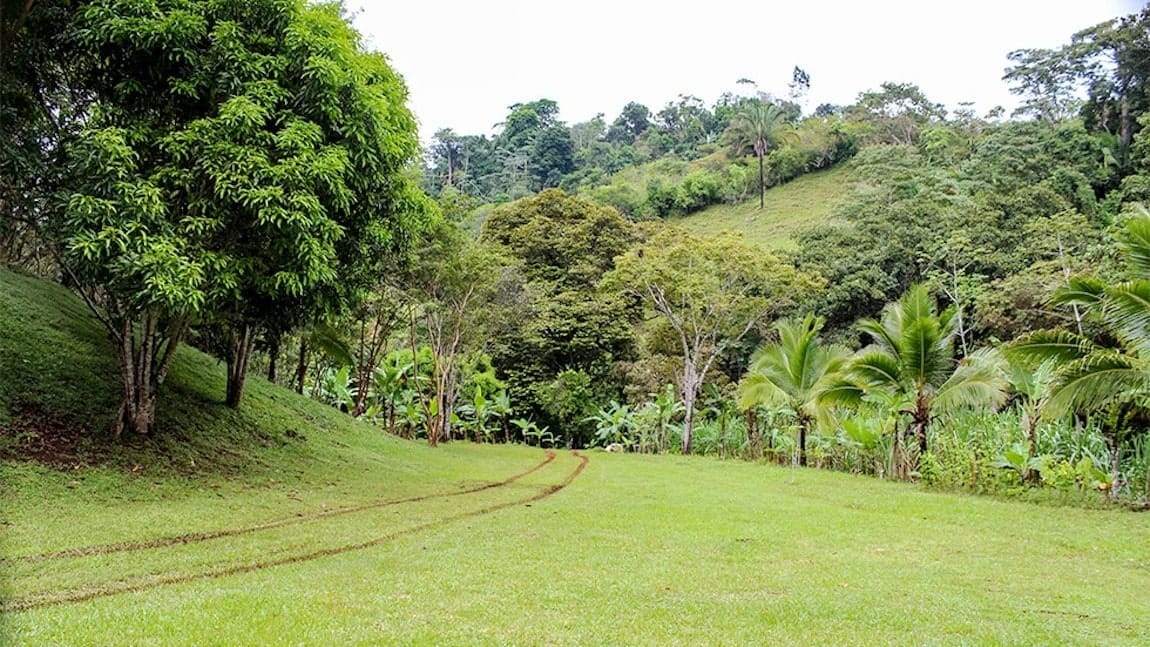 Property in San Isidro, Perez Zeledon