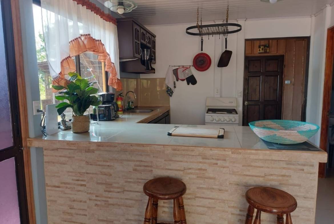 Property in Perez Zeledon