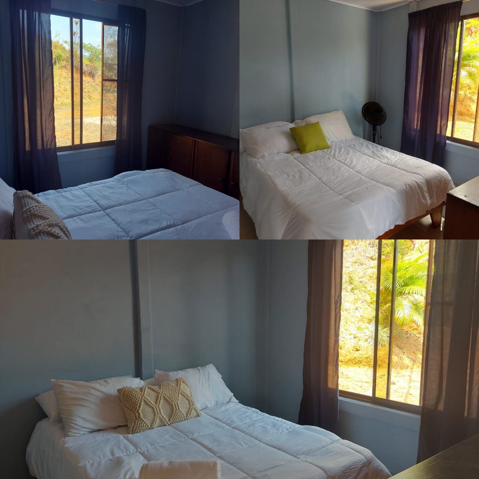 Property in Perez Zeledon