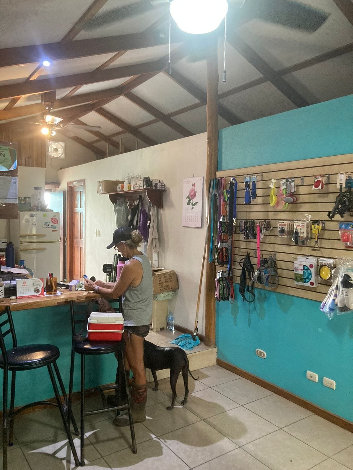 Investment opportunity in Santa Teresa