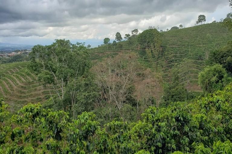 Land in Naranjo, Alajuela