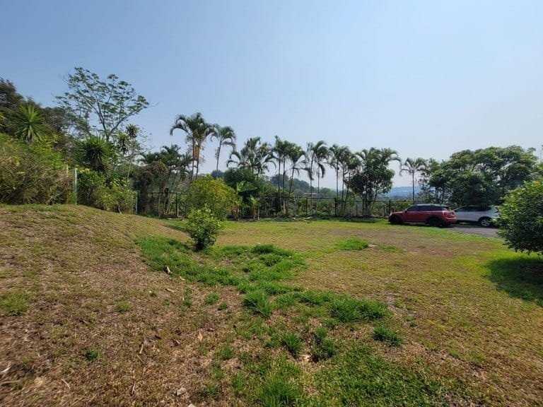 Property in Plamera Alajuela