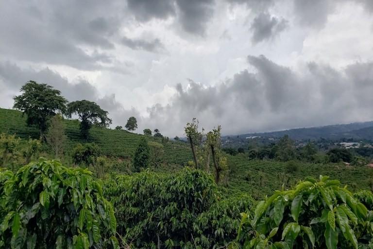 Land in Naranjo, Alajuela