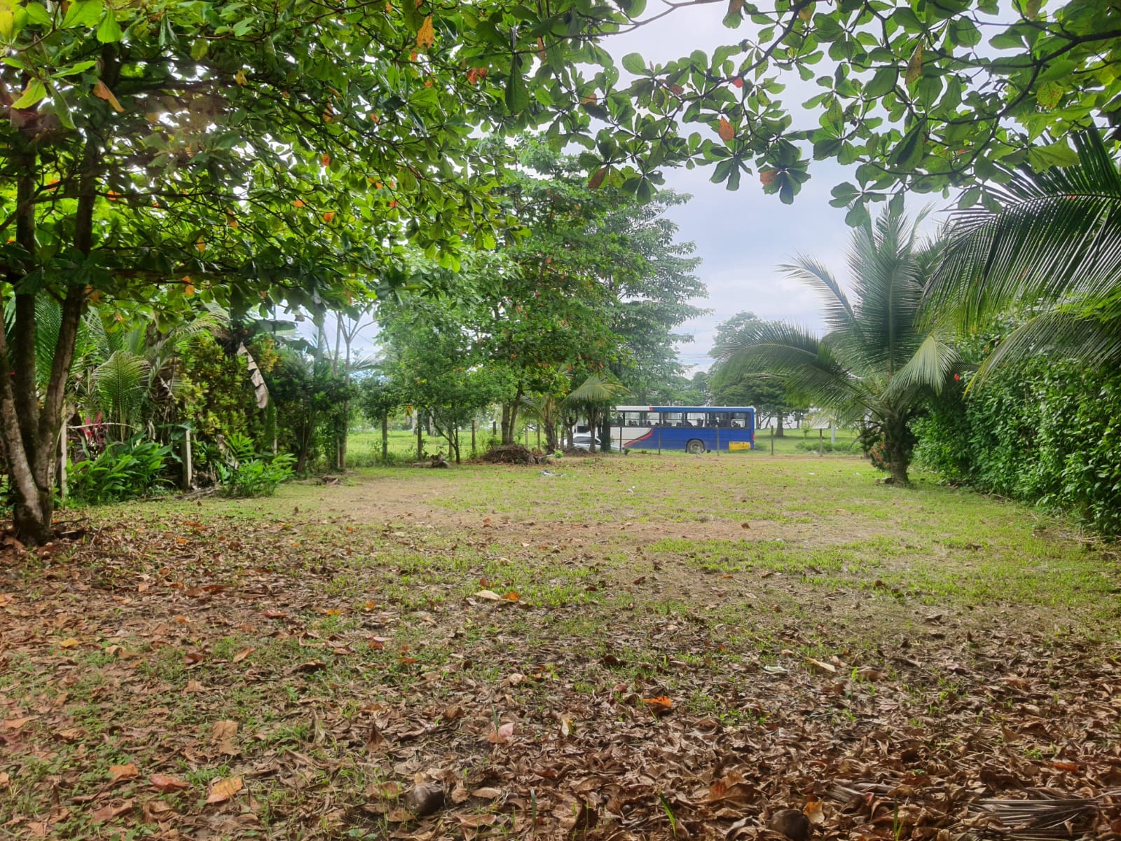 Development opportunity in Pavones