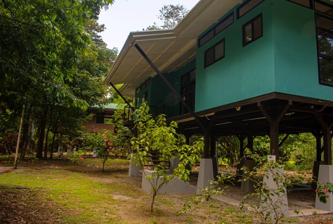 For Sale in in Zancudo