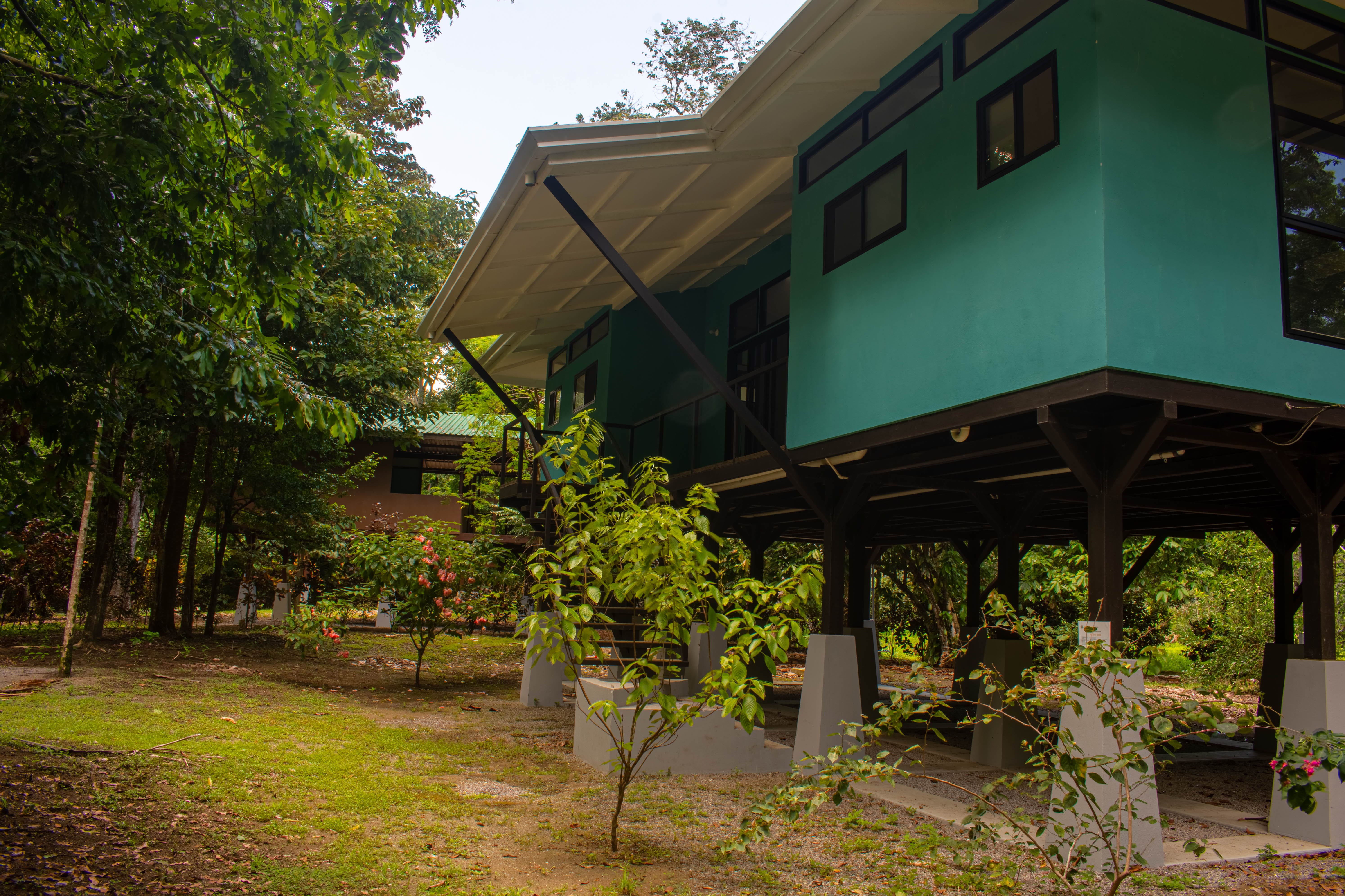 For Sale in in Zancudo