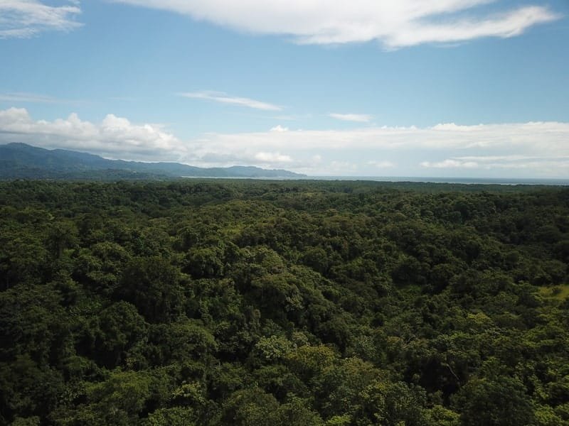 Oceanview property in Tarcoles