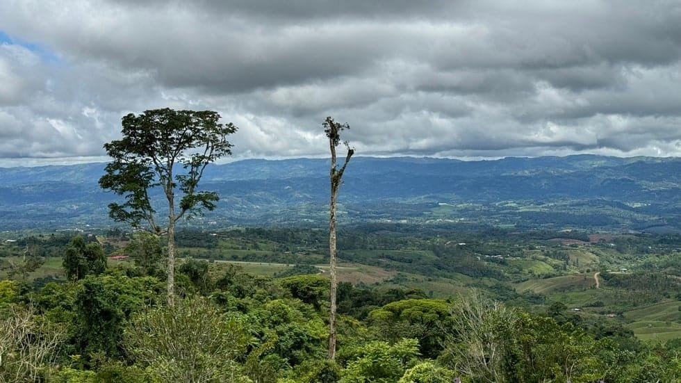 Property in San Isidro, San Jose