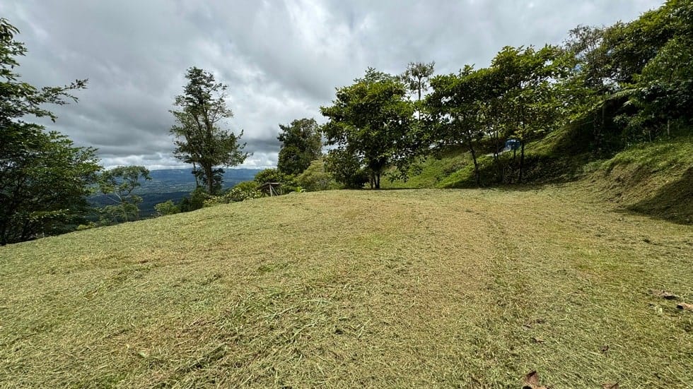 Property in San Isidro, San Jose