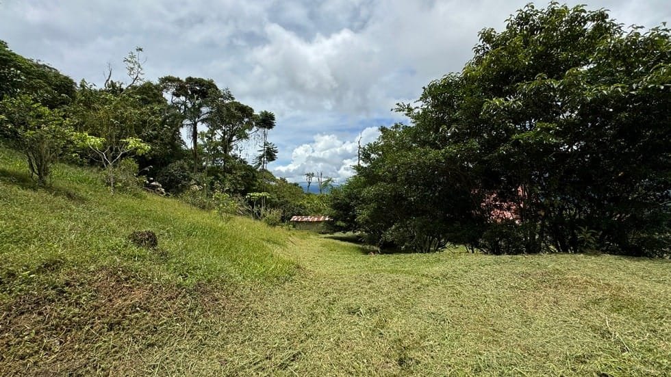 Property in San Isidro, San Jose