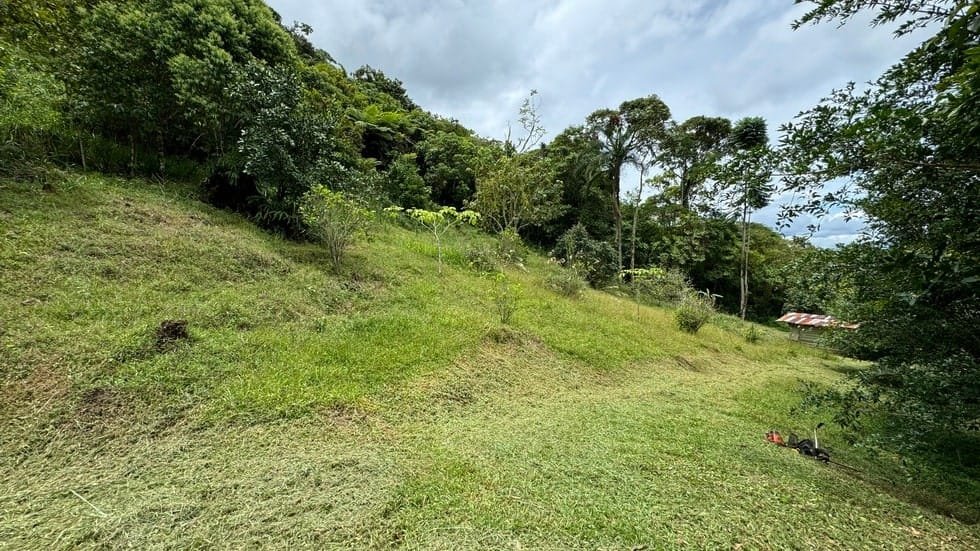 Property in San Isidro, San Jose