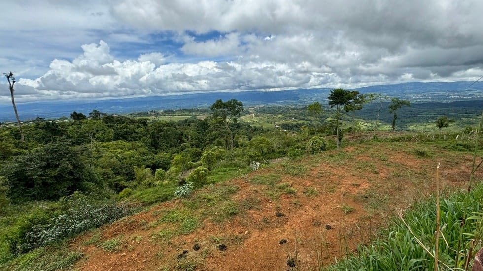 Property in San Isidro, San Jose